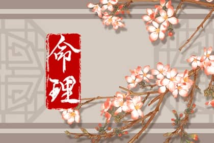 择吉老黄历 择吉日历 择吉皇历